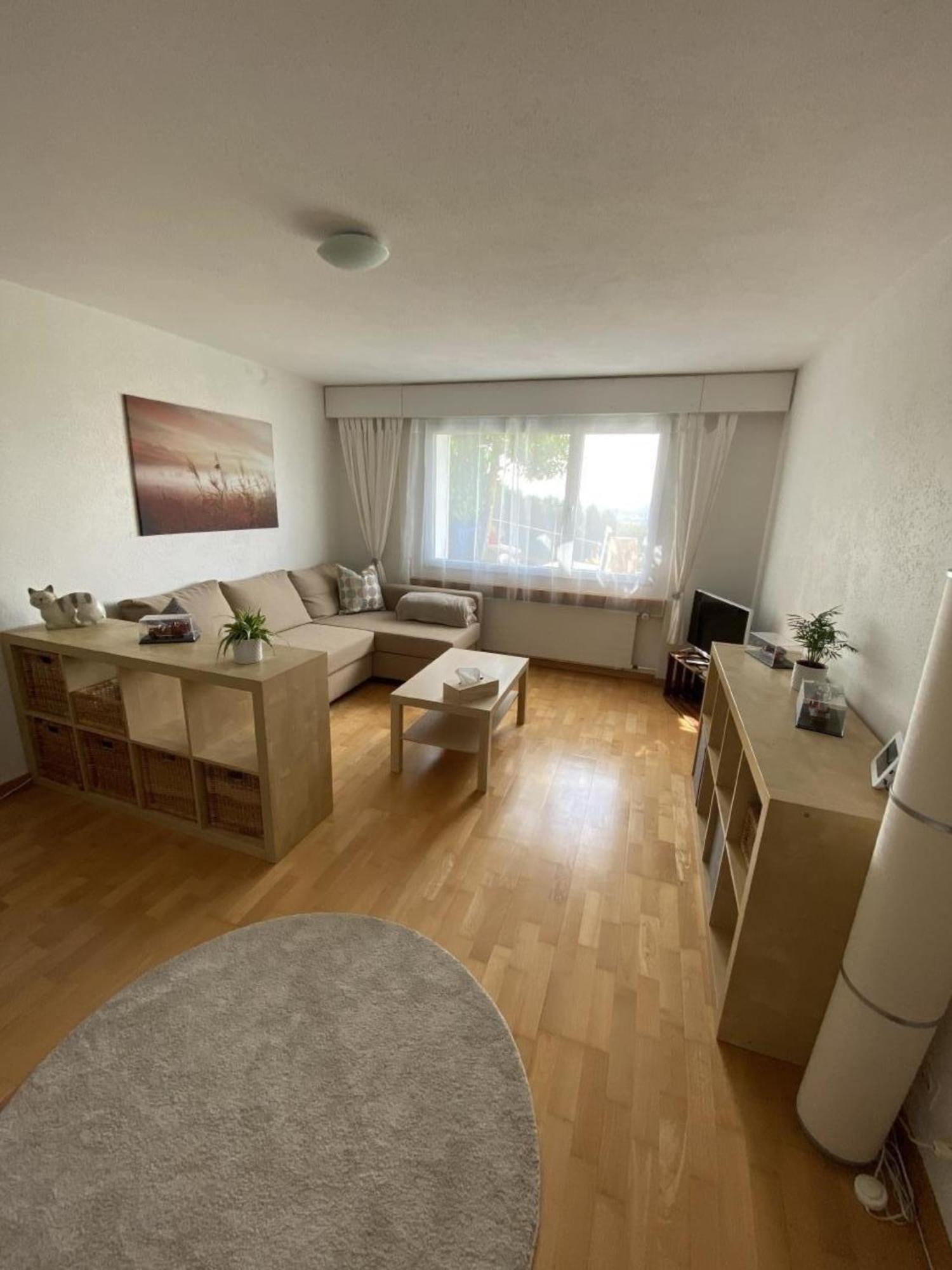 Ruhige 3 Zimmer - Ferienwohnung In Der Rueti Mit Traumhafter Aussicht Еризо Екстериор снимка